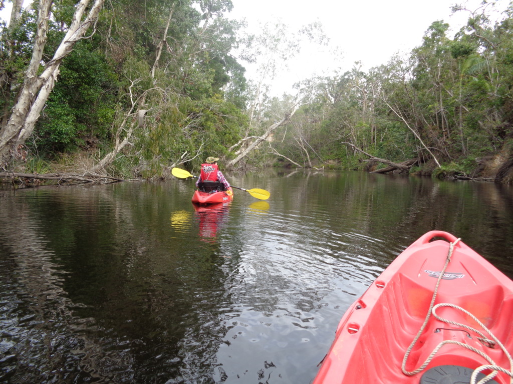 Activity Kayaking on the peaceful Waterpark creek